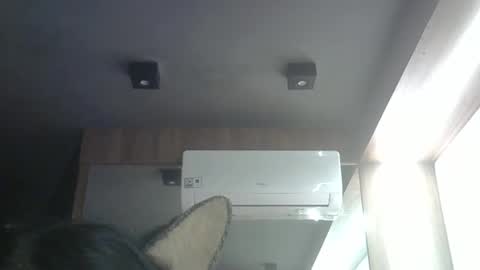 skinnykittencam online show from 05/04/26, 03:13