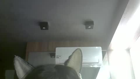 skinnykittencam online show from 05/10/26, 06:51