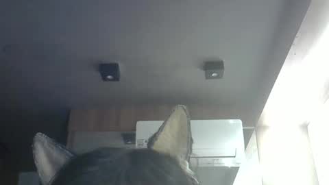 skinnykittencam online show from 05/14/26, 09:05
