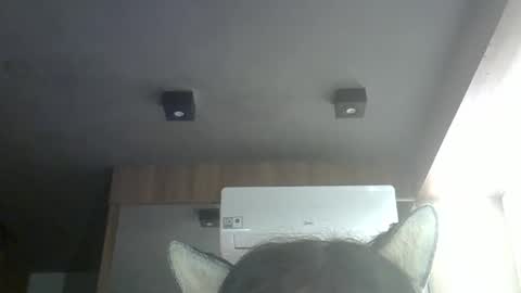 skinnykittencam online show from 05/16/26, 10:36