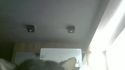 skinnykittencam online show from 05/17/26, 11:17