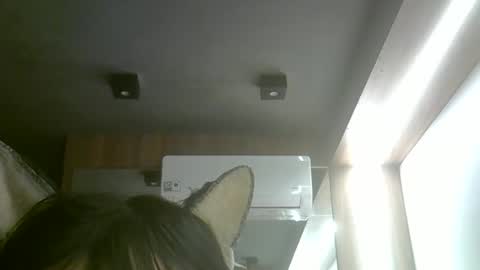 skinnykittencam online show from 05/18/26, 08:47