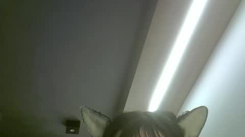 skinnykittencam online show from 05/19/26, 02:18