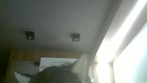 skinnykittencam online show from 05/20/26, 02:29