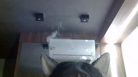 skinnykittencam online show from 05/20/26, 02:45