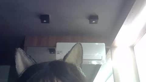 skinnykittencam online show from 05/21/26, 09:16