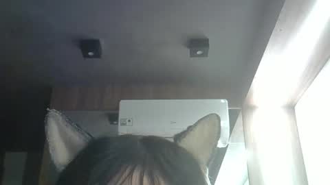 skinnykittencam online show from 05/23/26, 03:38