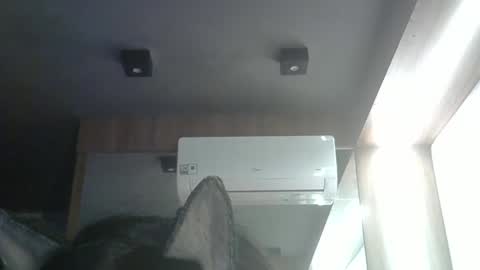 skinnykittencam online show from 05/24/26, 04:01