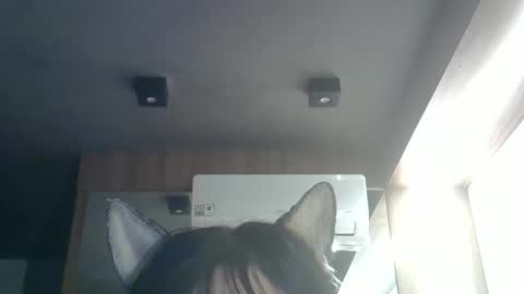 skinnykittencam online show from 05/26/26, 09:38