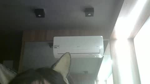 skinnykittencam online show from 05/26/26, 11:01