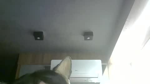 skinnykittencam online show from 05/28/26, 06:38