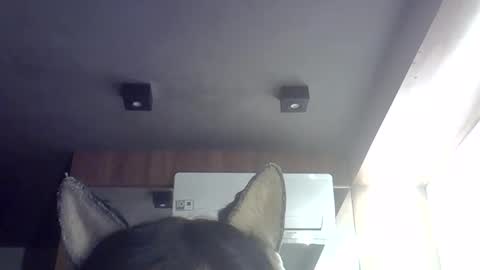 skinnykittencam online show from 05/29/26, 09:29