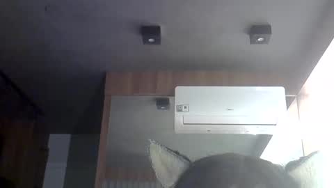 skinnykittencam online show from 05/30/26, 06:54