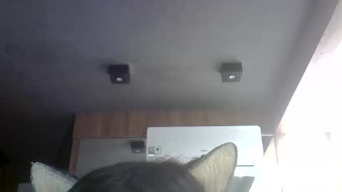skinnykittencam online show from 05/30/26, 07:00