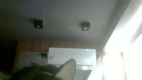 skinnykittencam online show from 05/31/26, 08:21