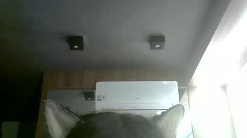 skinnykittencam online show from 06/01/26, 04:20