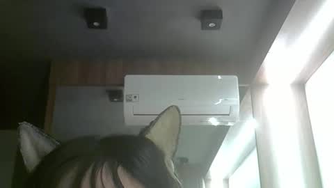 skinnykittencam online show from 06/03/26, 05:21