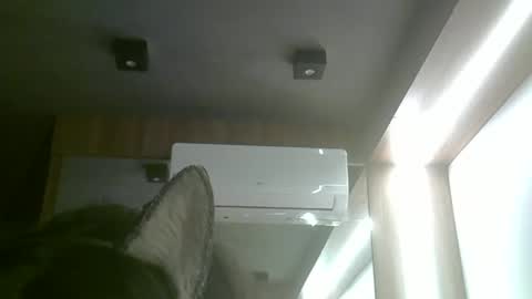 skinnykittencam online show from 06/03/26, 05:51
