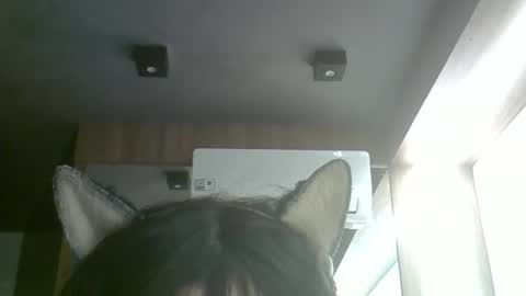 skinnykittencam online show from 06/05/26, 03:51