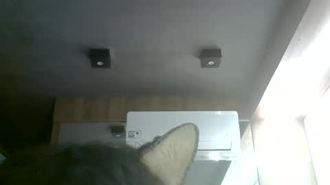 skinnykittencam online show from 06/06/26, 09:30