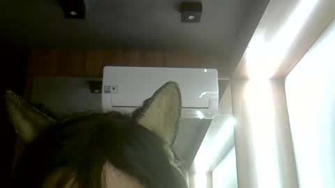 skinnykittencam online show from 06/07/26, 05:38