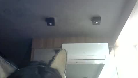 skinnykittencam online show from 06/08/26, 04:51