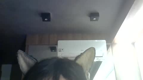 skinnykittencam online show from 06/09/26, 09:32