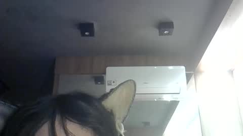 skinnykittencam online show from 06/11/26, 12:54