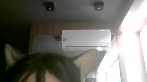 skinnykittencam online show from 06/11/26, 02:53