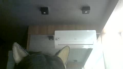 skinnykittencam online show from 06/11/26, 08:07