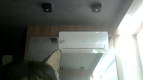 skinnykittencam online show from 06/12/26, 11:35