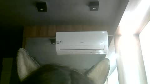 skinnykittencam online show from 06/14/26, 02:24