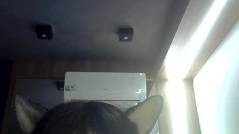 skinnykittencam online show from 06/16/26, 08:50