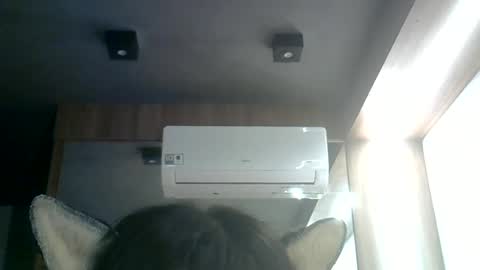 skinnykittencam online show from 06/17/26, 12:02