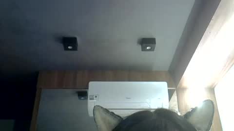skinnykittencam online show from 06/19/26, 12:04
