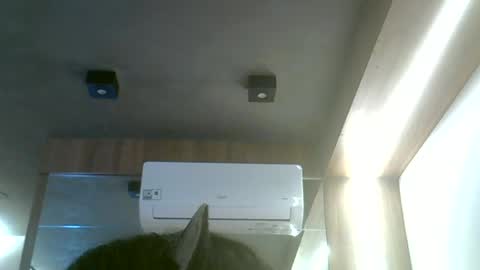 skinnykittencam online show from 06/19/26, 12:20