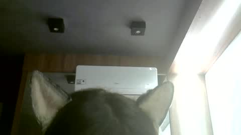 skinnykittencam online show from 06/22/26, 03:25
