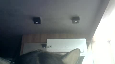 skinnykittencam online show from 06/23/26, 01:36