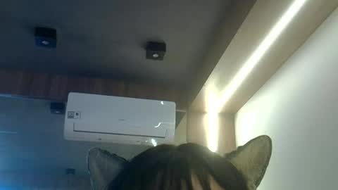 skinnykittencam online show from 06/23/26, 01:42