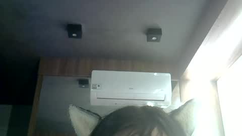 skinnykittencam online show from 06/25/26, 03:39
