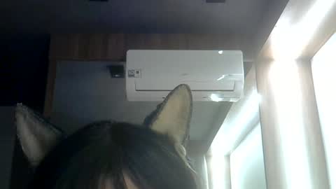 skinnykittencam online show from 06/29/26, 03:13