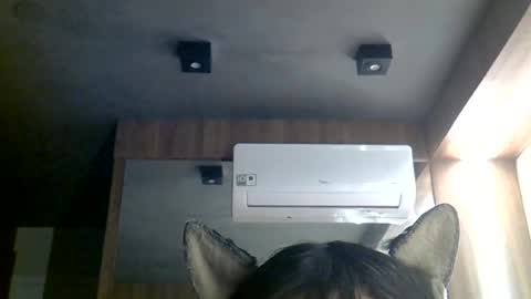 skinnykittencam online show from 06/29/26, 10:48