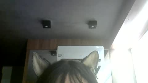 skinnykittencam online show from 06/30/26, 06:31