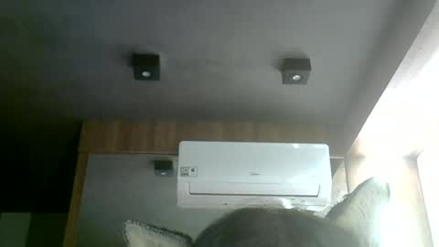 skinnykittencam online show from 07/02/26, 05:24