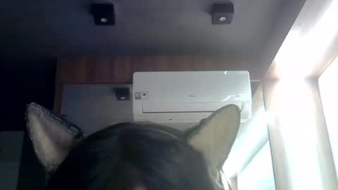 skinnykittencam online show from 07/03/26, 08:43