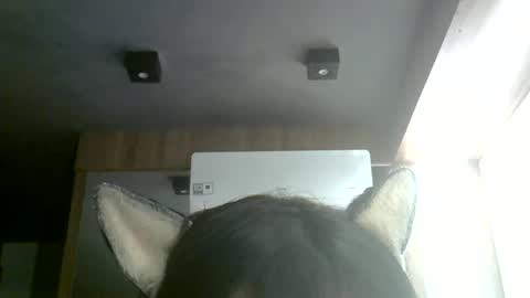 skinnykittencam online show from 07/04/26, 05:35