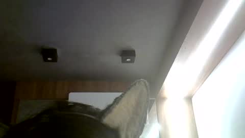 skinnykittencam online show from 07/04/26, 06:25