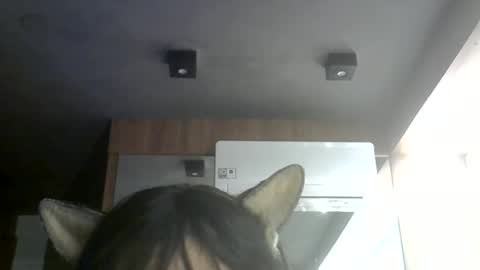 skinnykittencam online show from 07/07/26, 06:47