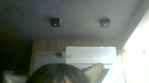 skinnykittencam online show from 07/07/26, 07:34
