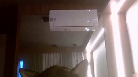 skinnykittencam online show from 07/07/26, 08:02